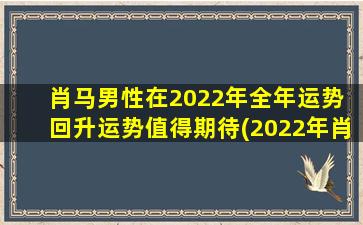 肖马男性在2022年全年运势 回升运势值得期待(2022年肖马男全年运势大回升，财运、事业、爱情双丰收！)